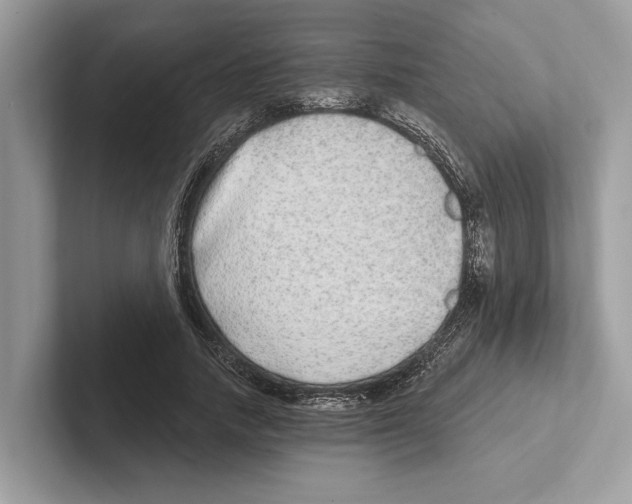 X0000100910738200807220950