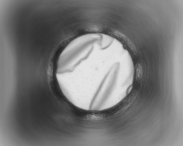 X0000100910739200807220950