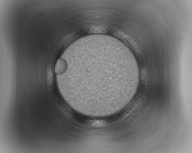 X0000100910741200807220950