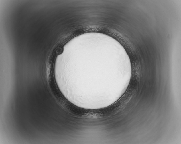 X0000100910742200807220950