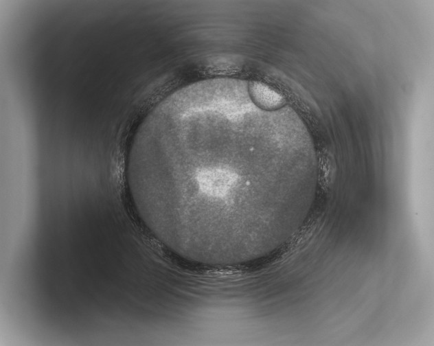 X0000100910745200807220950