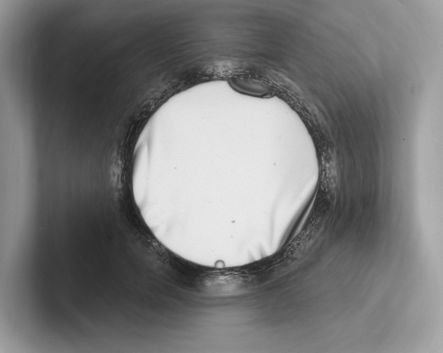 X0000100910750200807220950