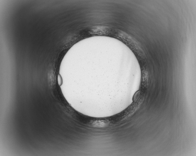 X0000100910751200807220950