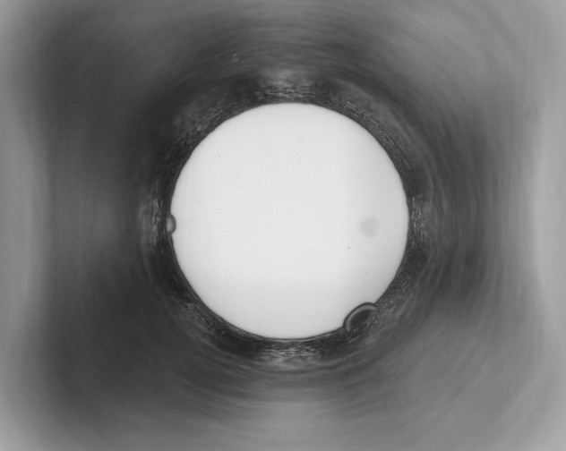 X0000100910752200807220950