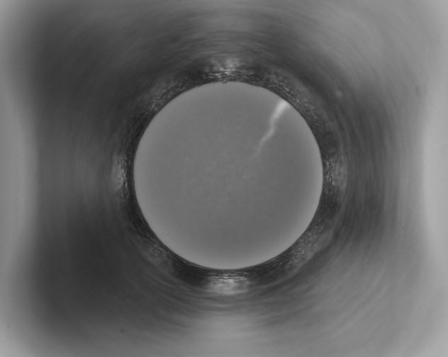 X0000100910754200807220950