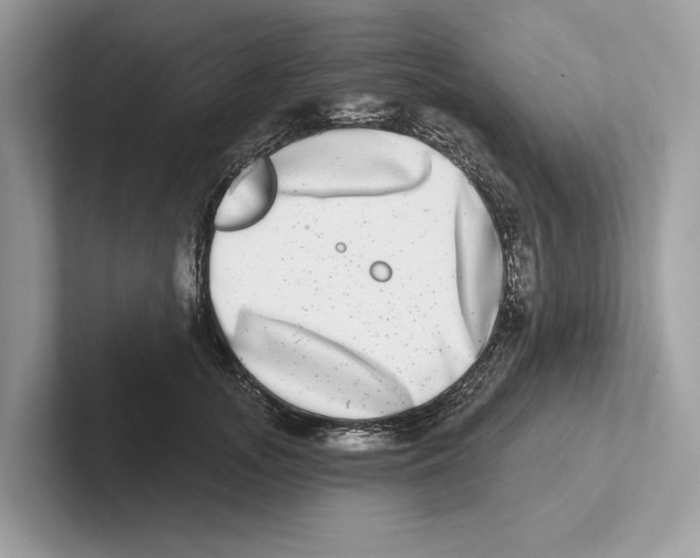 X0000100910755200807220950