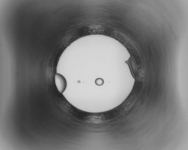 X0000100910756200807220950