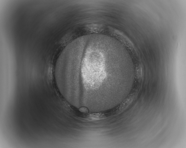 X0000100910757200807220950