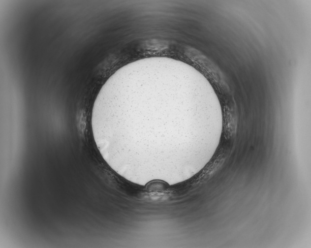 X0000100910758200807220950