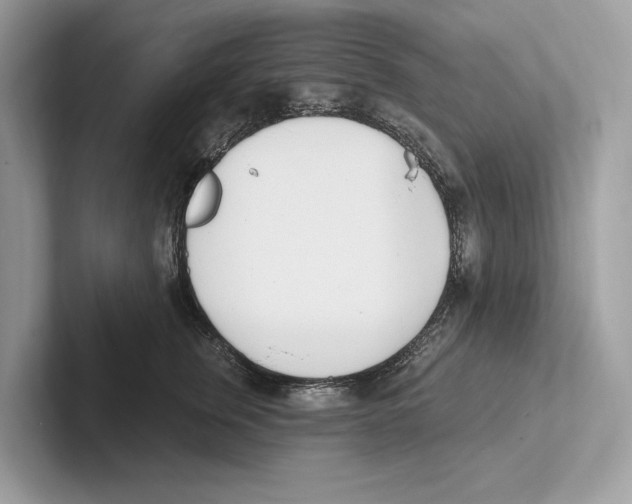 X0000100910759200807220950