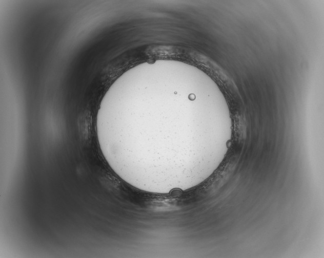 X0000100910760200807220950