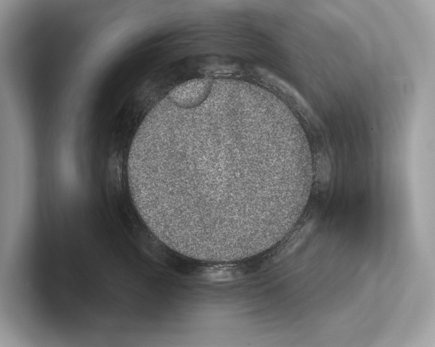 X0000100910761200807220950