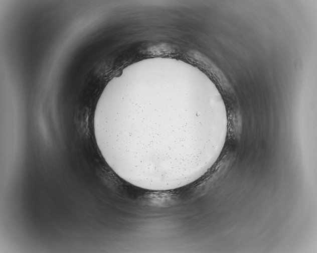 X0000100910762200807220950