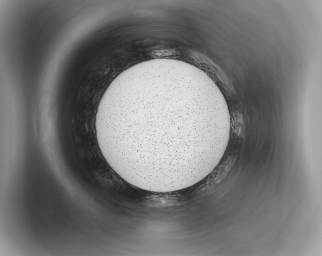 X0000100910763200807220950