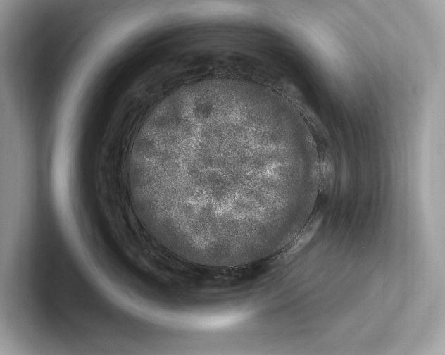 X0000100910765200807220950