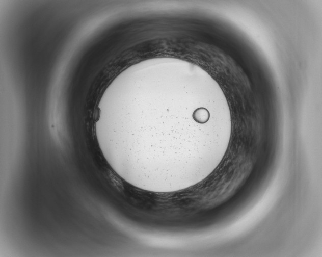 X0000100910766200807220950