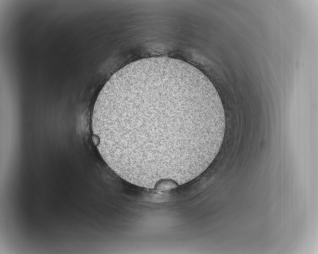 X0000100910768200807220950