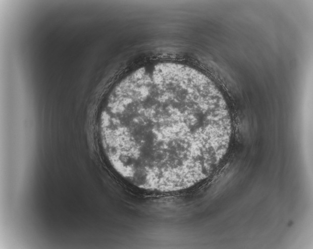 X0000100910769200807220950