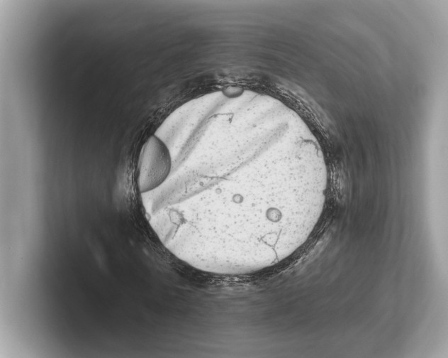 X0000100910770200807220950