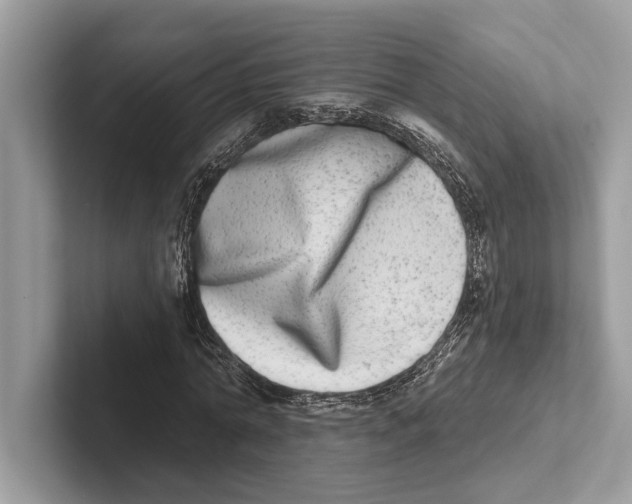 X0000100910774200807220950