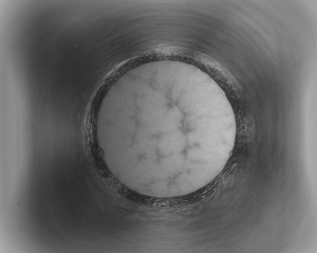 X0000100910776200807220950