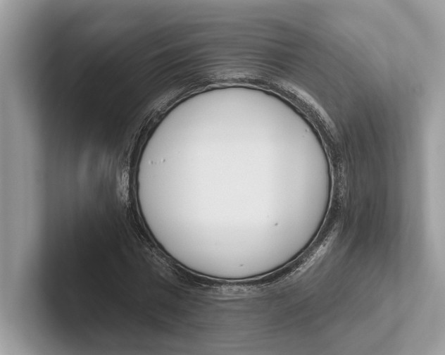 X0000100910777200807220950