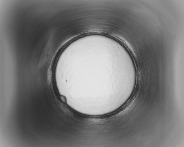 X0000100910779200807220950