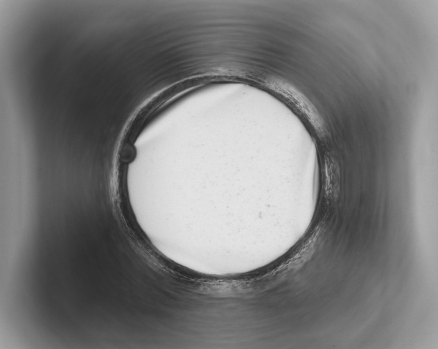 X0000100910780200807220950