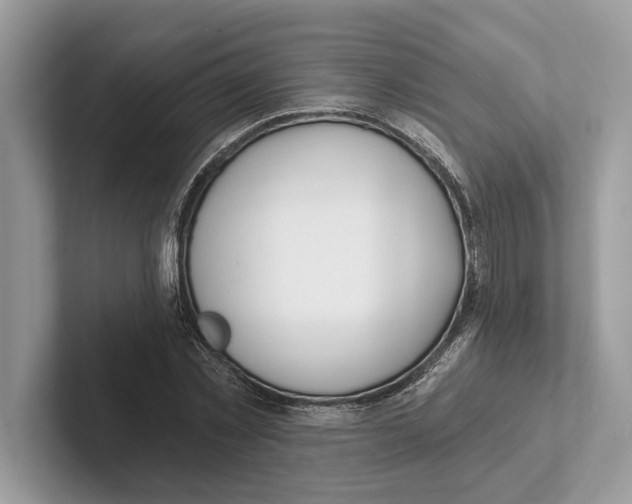 X0000100910781200807220950