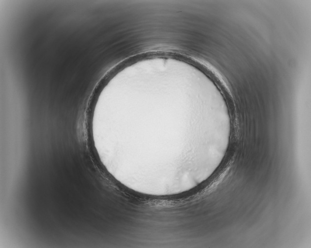 X0000100910783200807220950