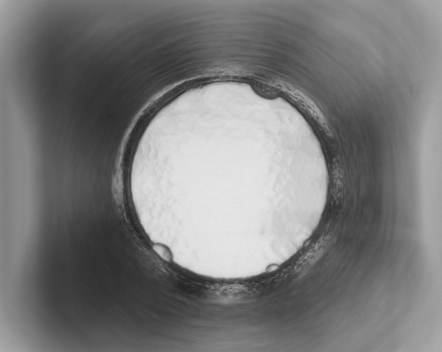 X0000100910784200807220950