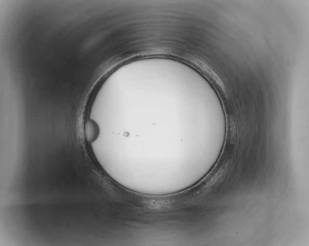 X0000100910789200807220949