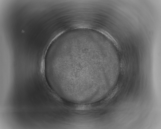 X0000100910790200807220949