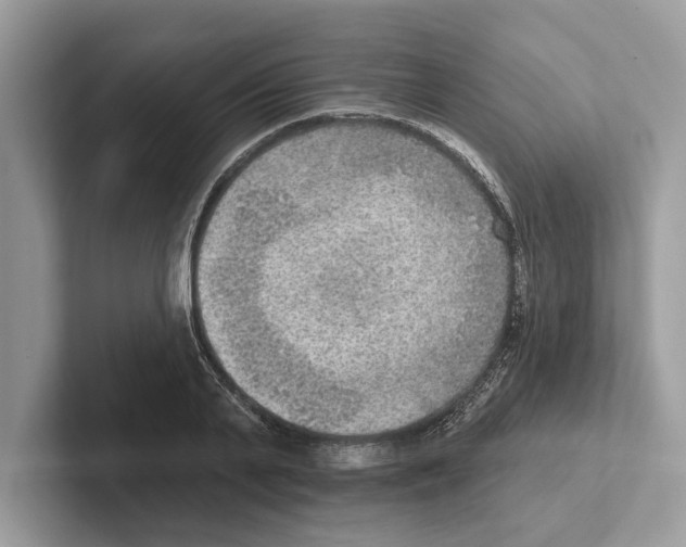 X0000100910791200807220949