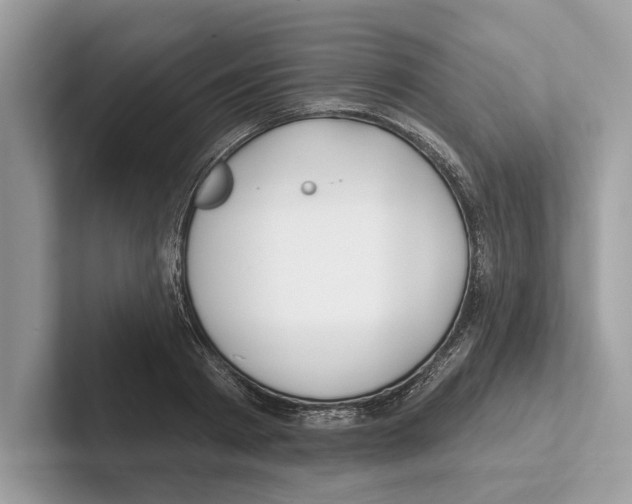 X0000100910793200807220949