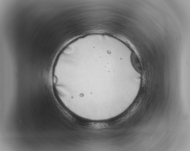 X0000100910795200807220949