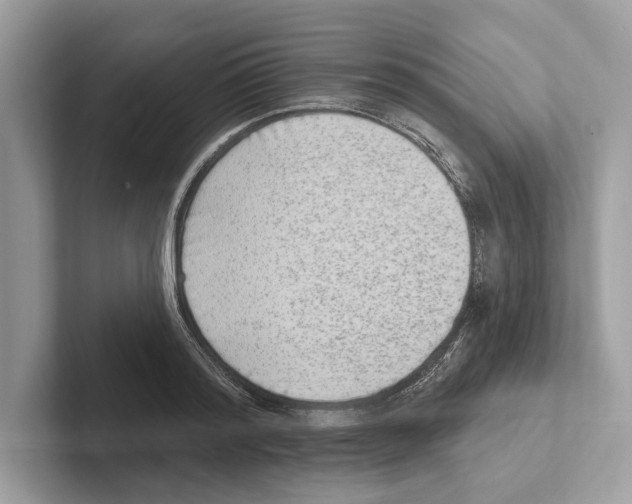 X0000100910796200807220949