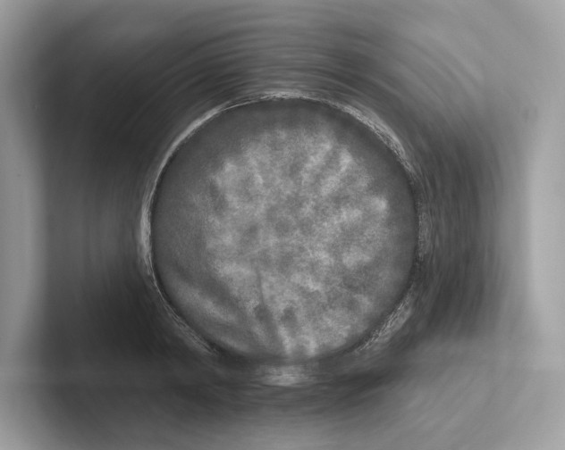 X0000100910798200807220949