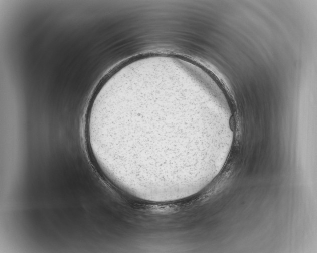 X0000100910799200807220949