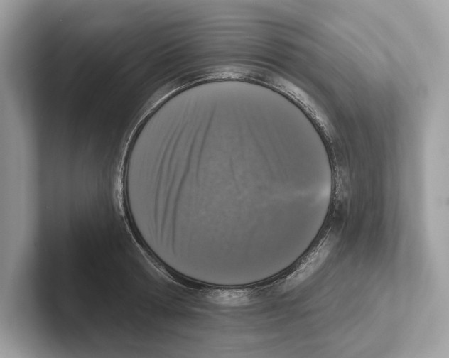 X0000100910802200807220949