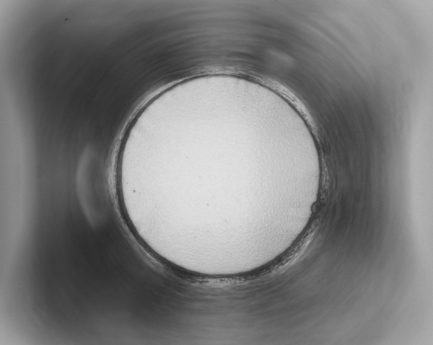 X0000100910803200807220949