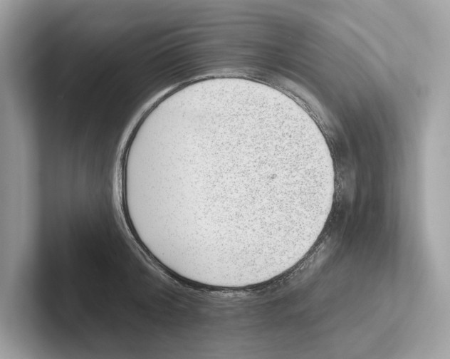 X0000100910804200807220949