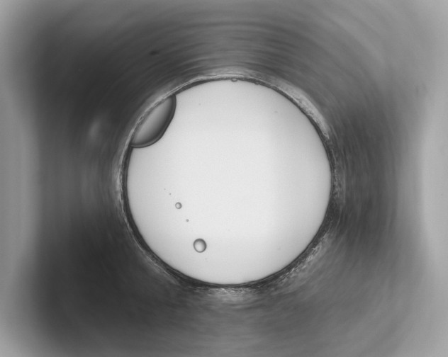 X0000100910805200807220949