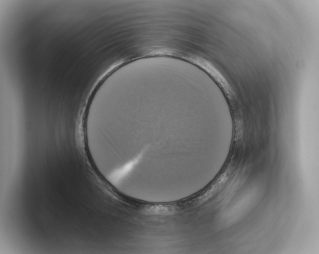 X0000100910806200807220949