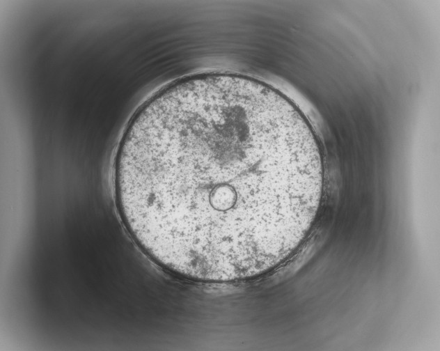 X0000100910807200807220949