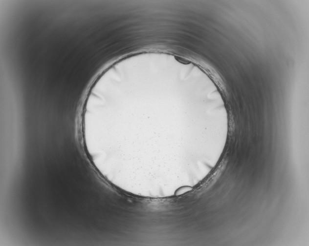 X0000100910808200807220949