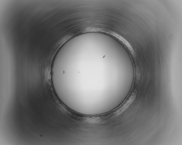 X0000100910809200807220949