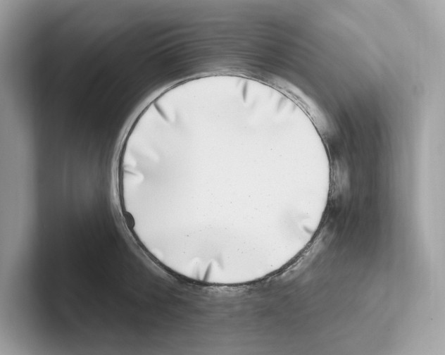 X0000100910812200807220949