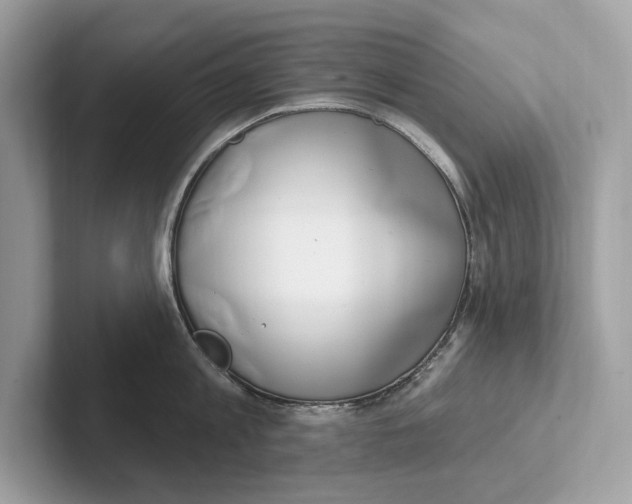 X0000100910813200807220949