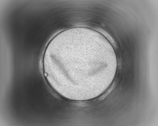 X0000100910814200807220949